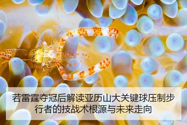 若雷霆夺冠后解读亚历山大关键球压制步行者的技战术根源与未来走向