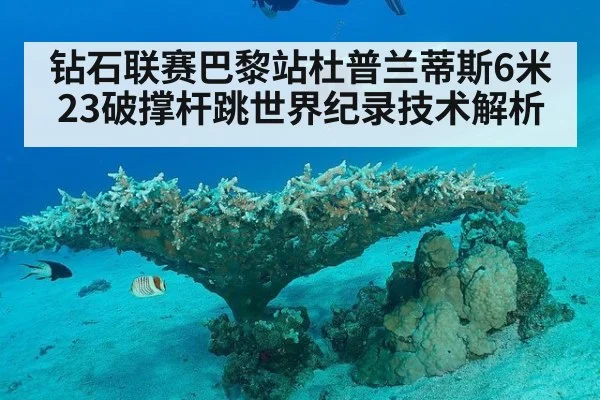 钻石联赛巴黎站杜普兰蒂斯6米23破撑杆跳世界纪录技术解析